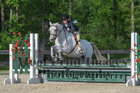BRSa(5-17-14)SMChP0024