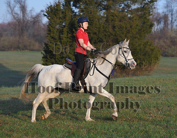 Foxcatcher(4-12-14)0401