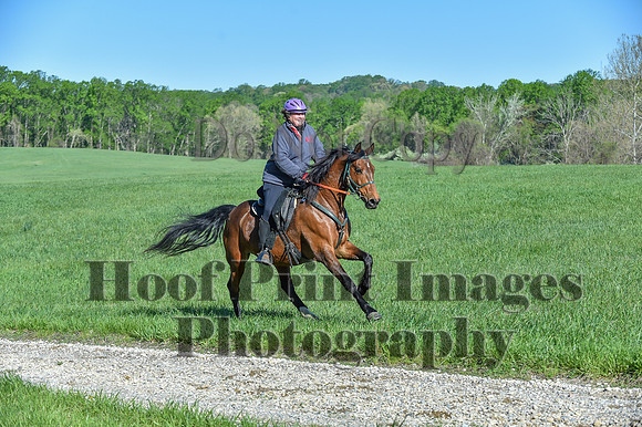 ChesapeakeSpring(4-27-25)0413