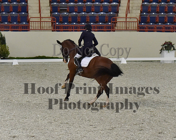 CWdressageII(8-21-16)1758