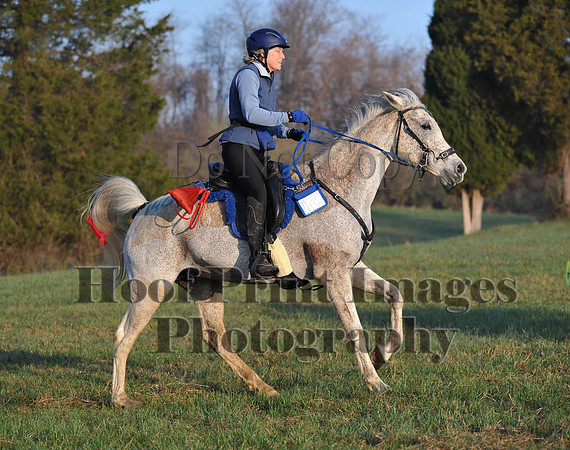 Foxcatcher(4-12-14)0435