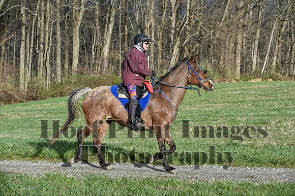 ChesapeakeSpring(4-10-22)0062