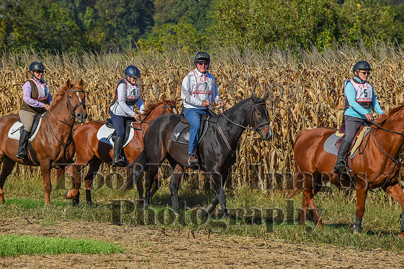 CheshirePonyClubPC(10-6-24)0080