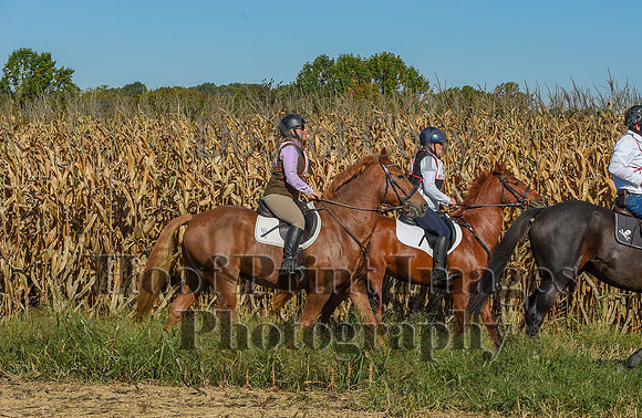 CheshirePonyClubPC(10-6-24)0090