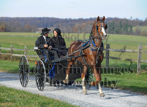 AndrewsBr(11-9-14)0678