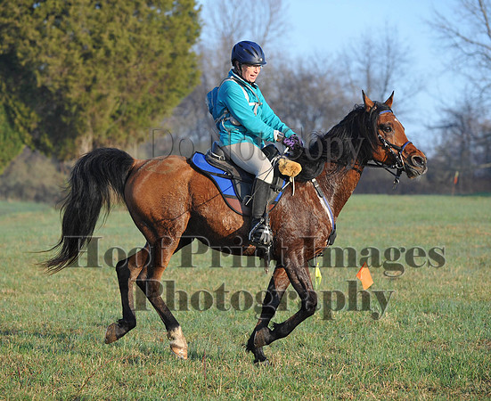 Foxcatcher(4-12-14)0523