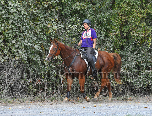 CheshirePC(10-16-16)0273