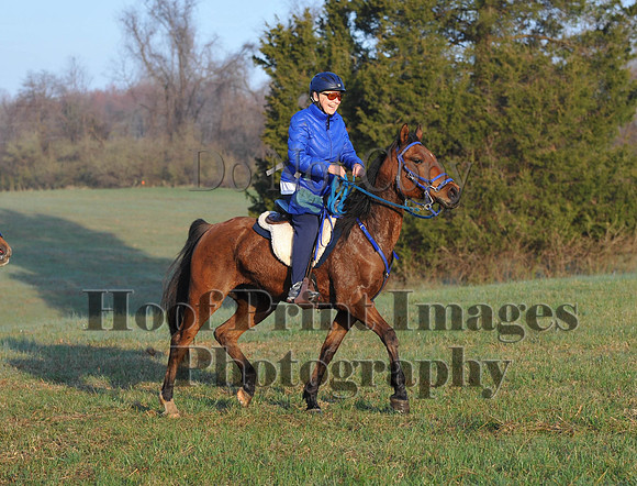 Foxcatcher(4-12-14)0441