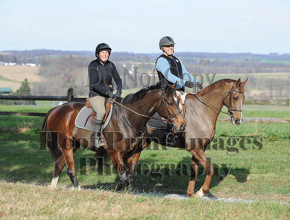 AndrewsBr(11-9-14)0639