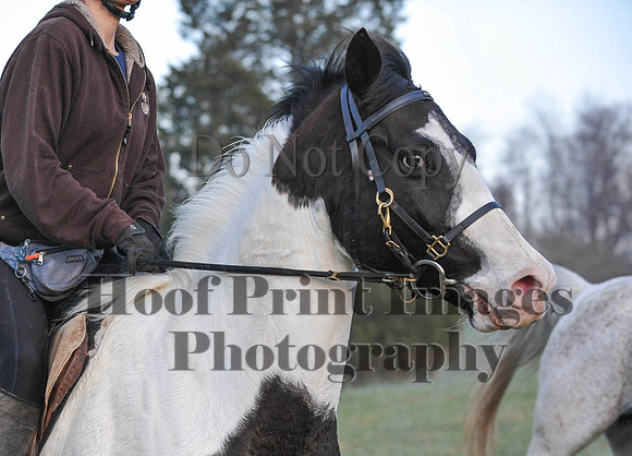 Foxcatcher(4-12-14)0088