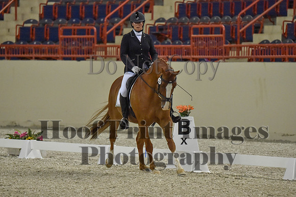 CWdressageI(8-20-16)0515