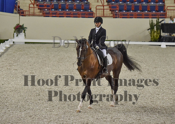 CWdressageI(8-20-16)0194