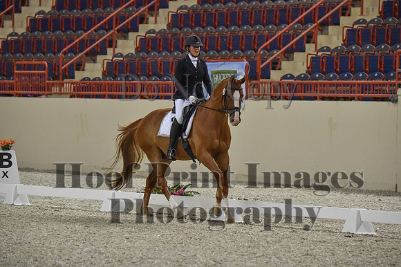 CWdressageI(8-20-16)0517