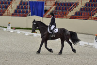 CWdressageI(8-20-16)0060