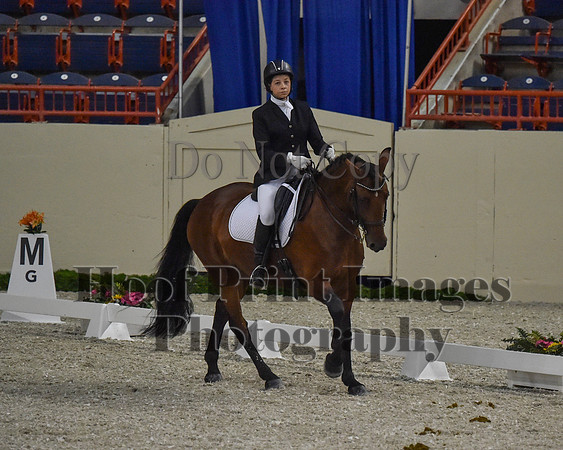 CWdressageII(8-21-16)0490