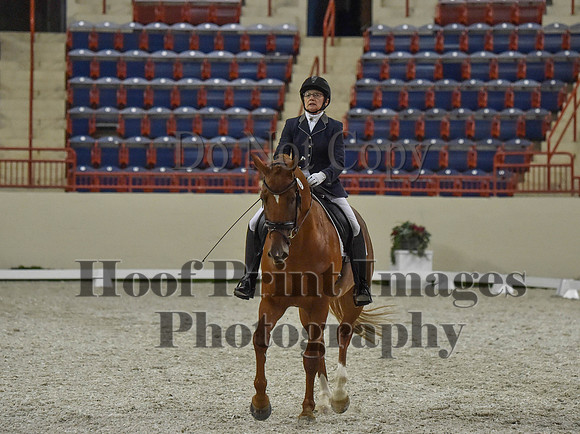 CWdressageI(8-20-16)1252