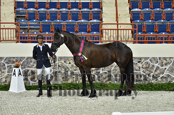 CWdressageI(8-20-16)1195