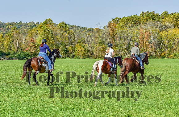 Born2Ride(10-13-24)0080
