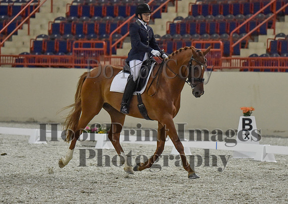CWdressageI(8-20-16)1242