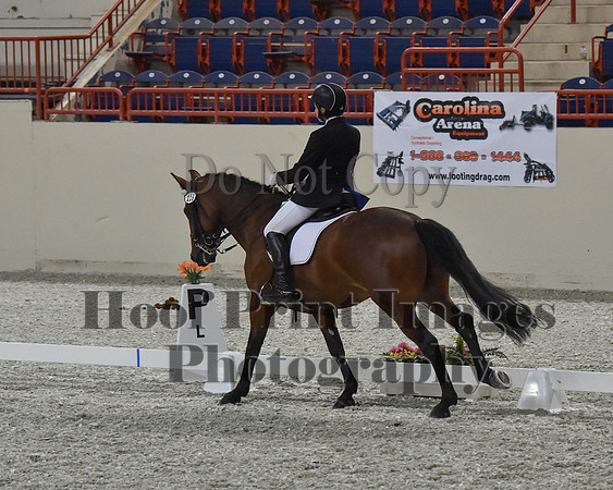 CWdressageII(8-21-16)0498