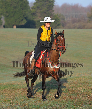 Foxcatcher(4-12-14)0490