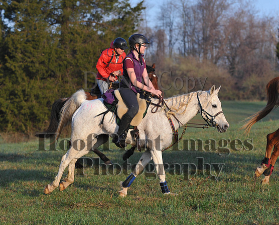 Foxcatcher(4-12-14)0414