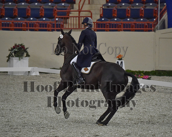 CWdressageII(8-21-16)0716