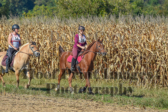 CheshirePonyClubPC(10-6-24)0205