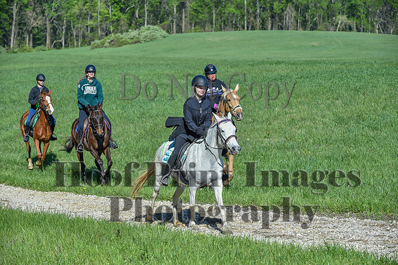 ChesapeakeSpring(4-27-25)0536