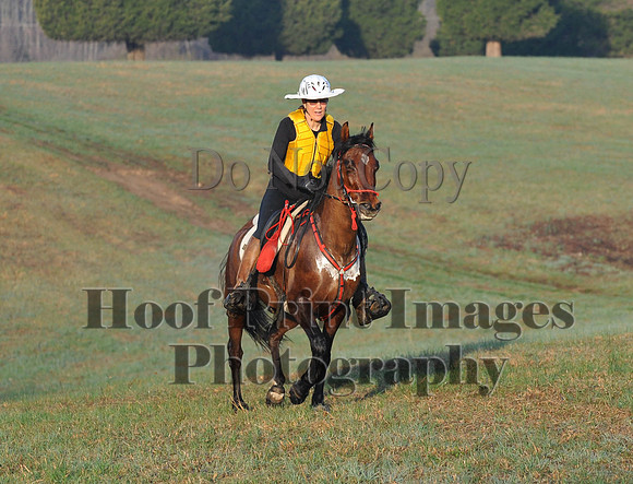 Foxcatcher(4-12-14)0488