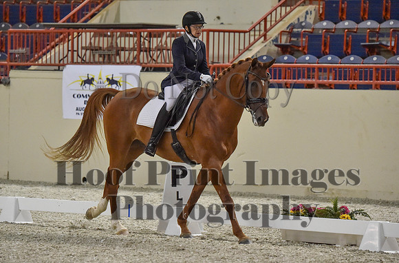 CWdressageI(8-20-16)0786
