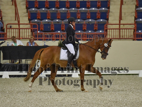 CWdressageI(8-20-16)0512