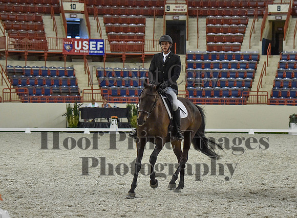 CWdressageI(8-20-16)1238