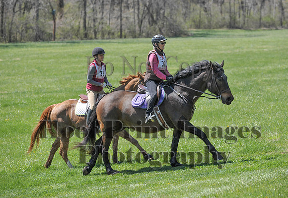 CheshirePC(4-16-16)0085