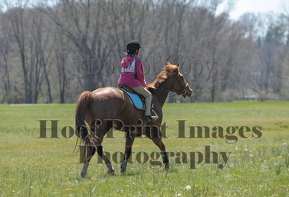 CheshirePC(4-16-16)0625