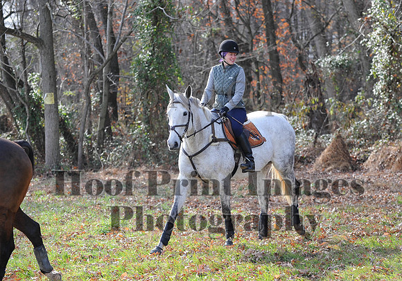 AndrewsBr(11-9-14)0571