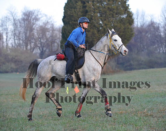Foxcatcher(4-12-14)0108