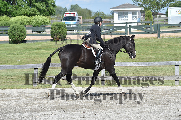 StCSun(5-15-16)PrAd0229