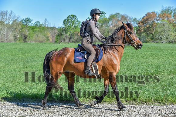 ChesapeakeSpring(4-27-25)0523