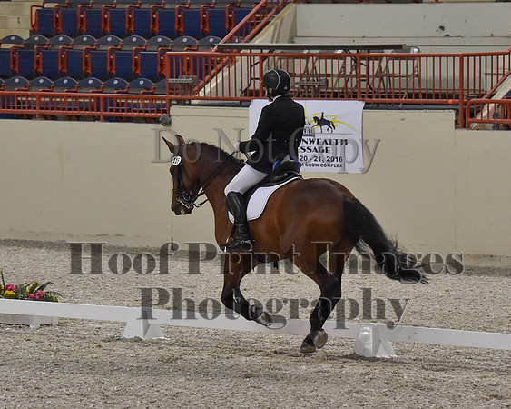 CWdressageII(8-21-16)0502