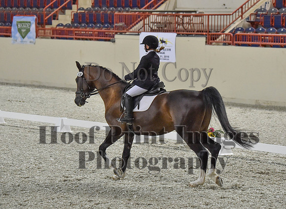 CWdressageI(8-20-16)0198