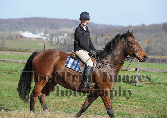 AndrewsBr(11-9-14)0331