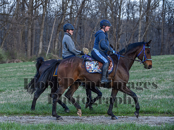 ChesapeakeSpring(4-10-22)0387