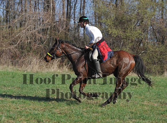Foxcatcher(4-12-14)0575