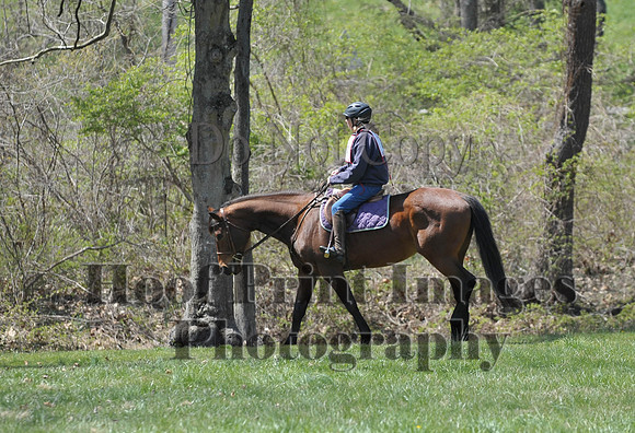 CheshirePC(4-16-16)0295