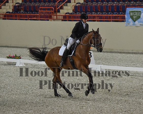 CWdressageII(8-21-16)0156