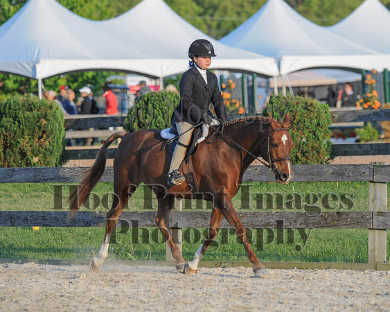BRSa(5-17-14)SMChP0117