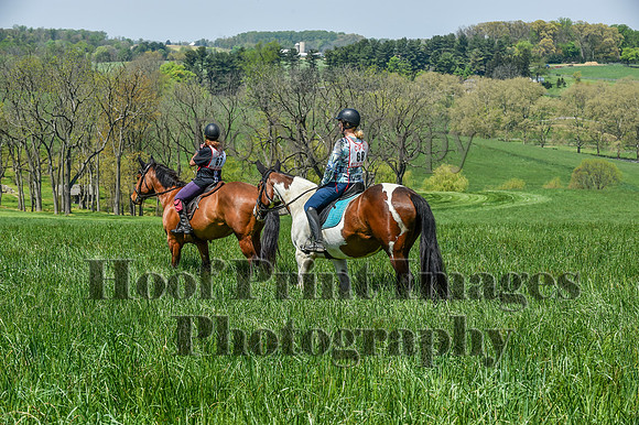 CheshireSpringPC1(4-28-24)0513