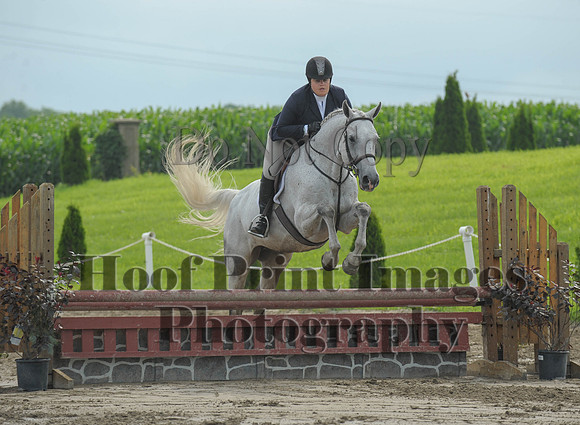 Lion(7-5-15)PrChAd0024