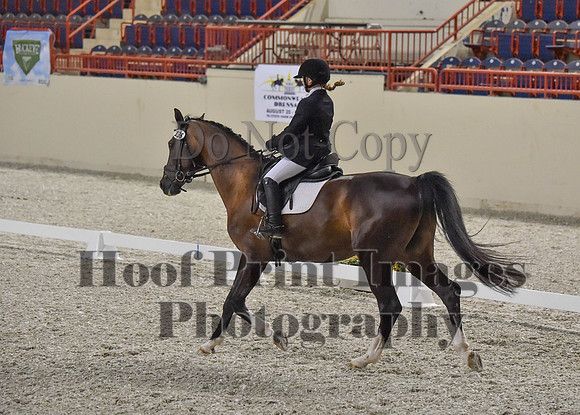 CWdressageI(8-20-16)0197